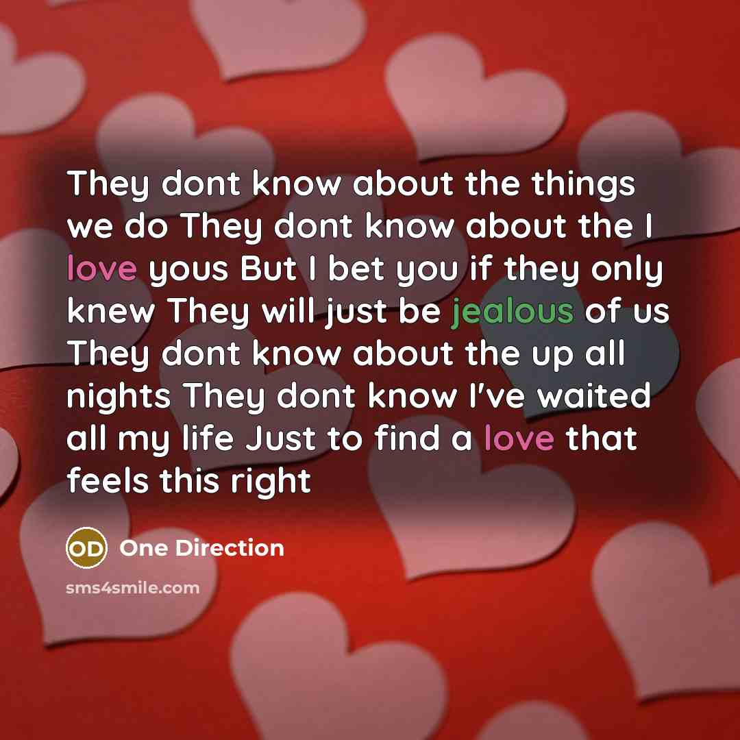 “They dont know about the things we do They dont know about the I love yous But I bet you if they only knew They will just be jealous of us They dont know about the up all nights They dont know I've waited all my life Just to find a love that feels this right” quote by One Direction
