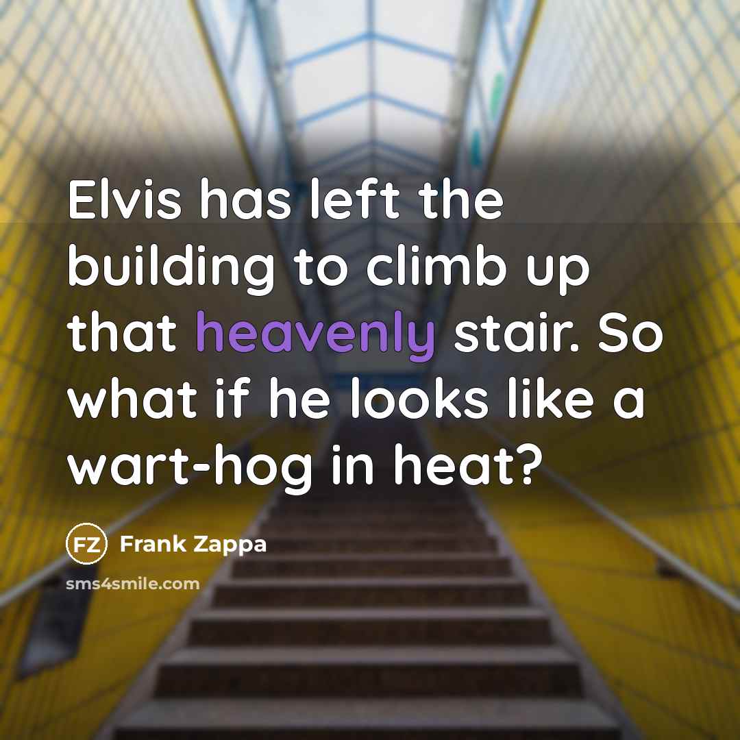 “Elvis has left the building to climb up that heavenly stair. So what if he looks like a wart-hog in heat?” quote by Frank Zappa