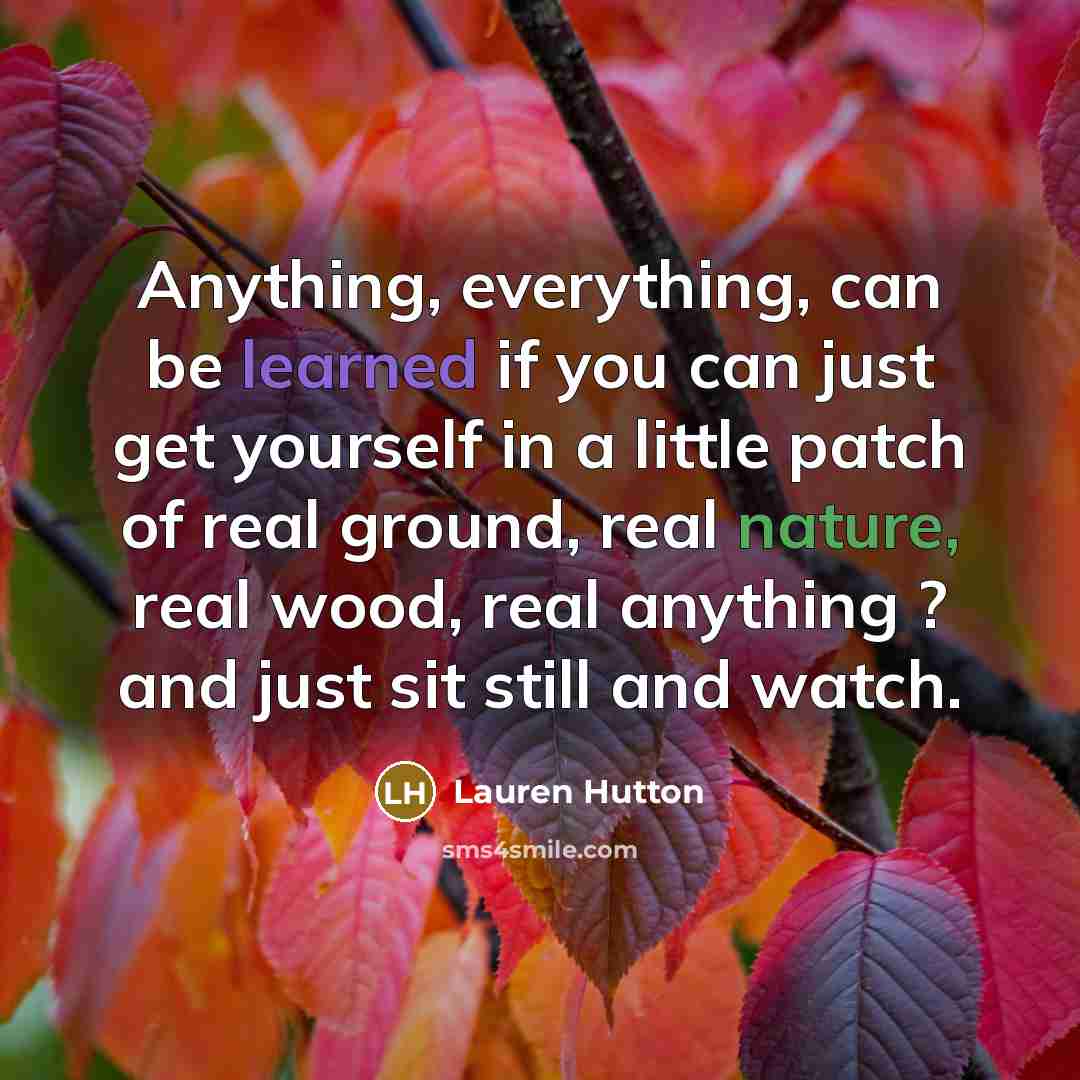 “Anything, everything, can be learned if you can just get yourself in a little patch of real ground, real nature, real wood, real anything ? and just sit still and watch.” quote by Lauren Hutton