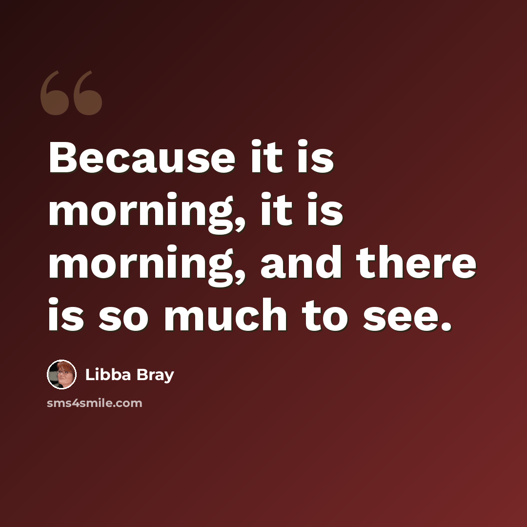“Because it is morning, it is morning, and there is so much to see.” quote by Libba Bray