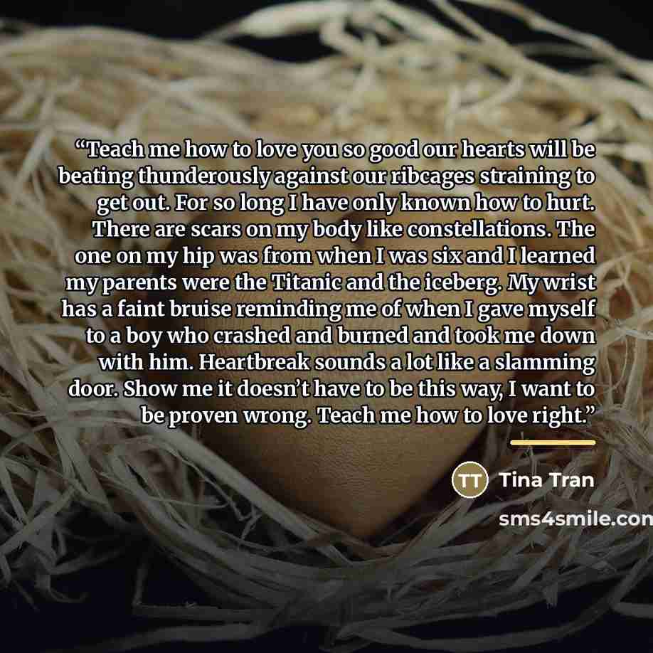 “Teach me how to love you so good our hearts will be beating thunderously against our ribcages straining to get out. For so long I have only known how to hurt. There are scars on my body like constellations. The one on my hip was from when I was six and I learned my parents were the Titanic and the…” quote by Tina Tran