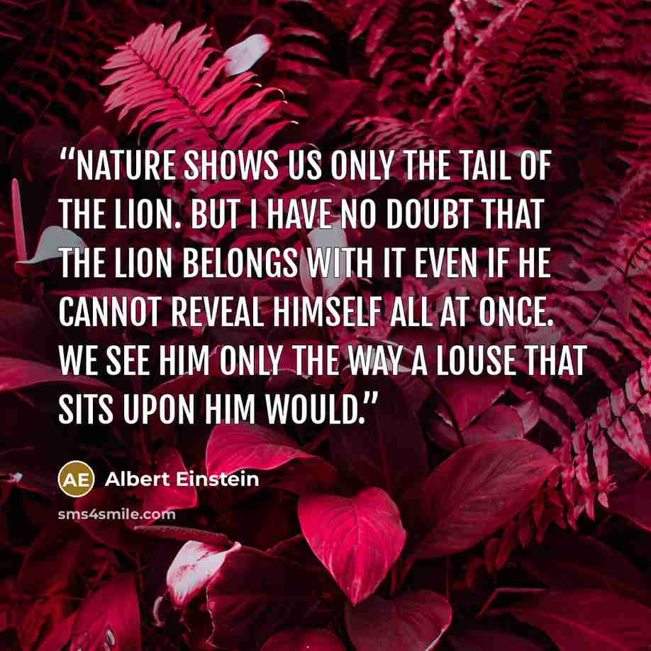 “Nature shows us only the tail of the lion. But I have no doubt that the lion belongs with it even if he cannot reveal himself all at once. We see him only the way a louse that sits upon him would.” quote by Albert Einstein