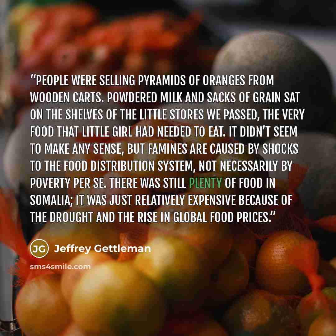 “People were selling pyramids of oranges from wooden carts. Powdered milk and sacks of grain sat on the shelves of the little stores we passed, the very food that little girl had needed to eat. It didn’t seem to make any sense, but famines are caused by shocks to the food distribution system, not…” quote by Jeffrey Gettleman