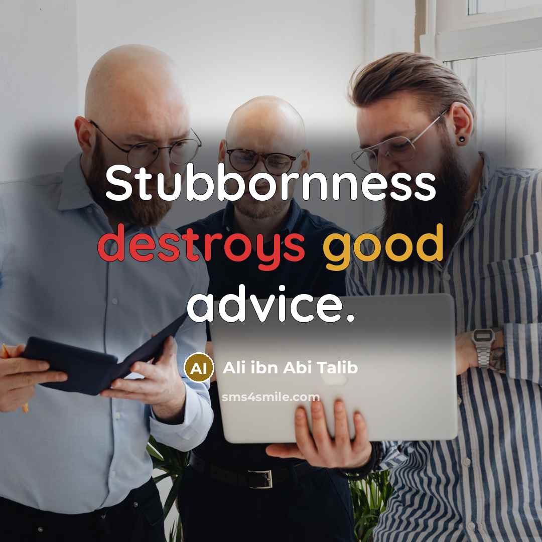 “Stubbornness destroys good advice.” quote by Ali ibn Abi Talib