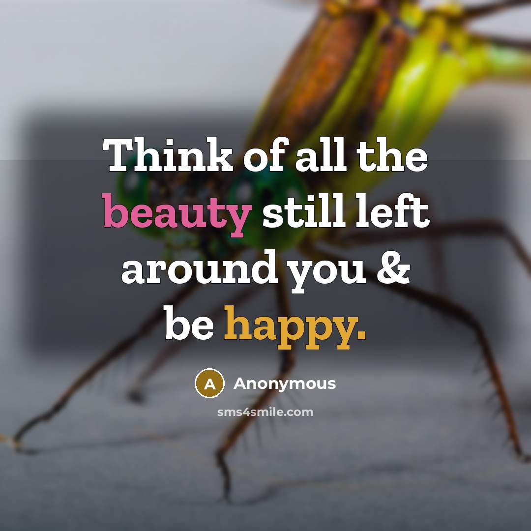 “Think of all the beauty still left around you & be happy.” quote by Anonymous