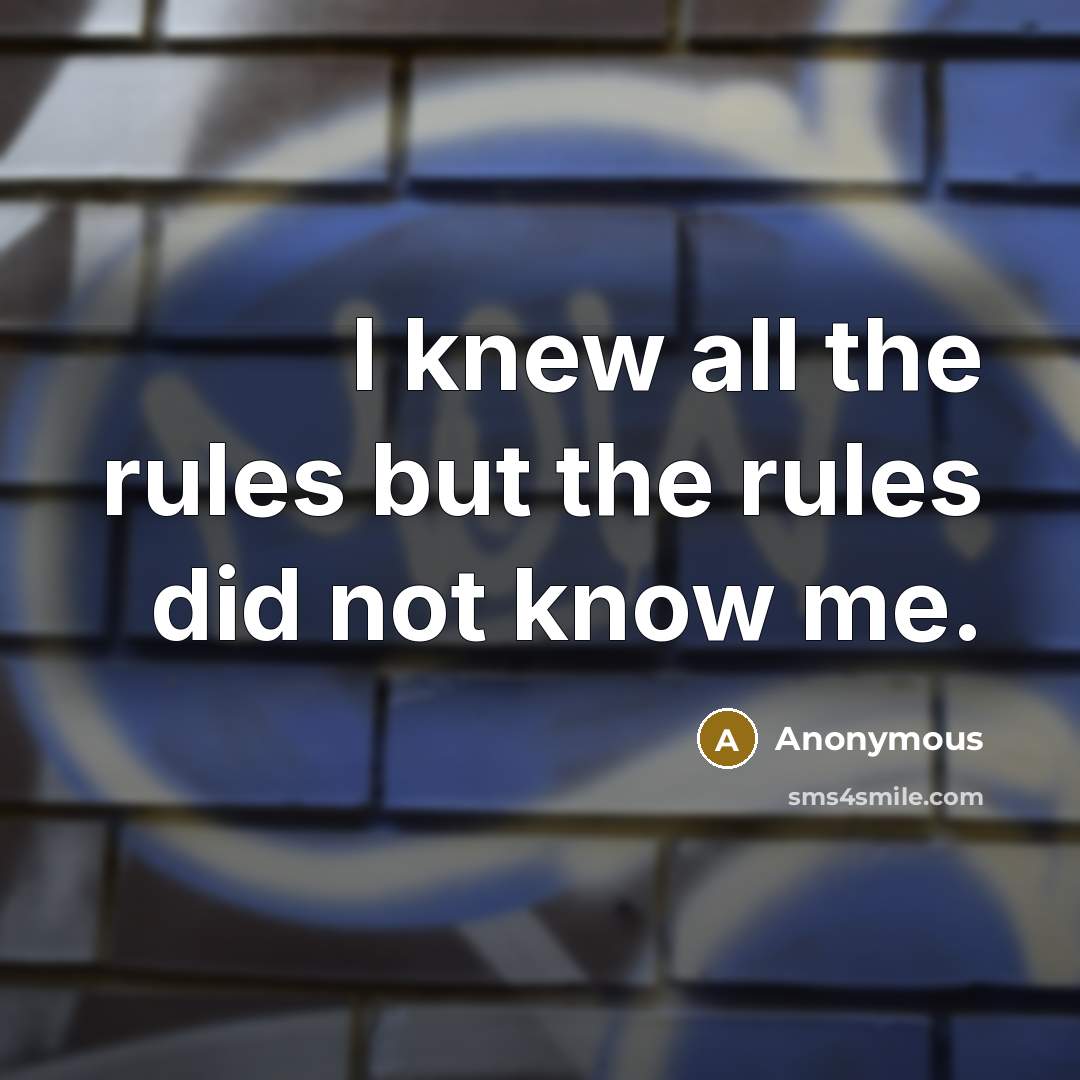 “I knew all the rules but the rules did not know me.” quote by Anonymous