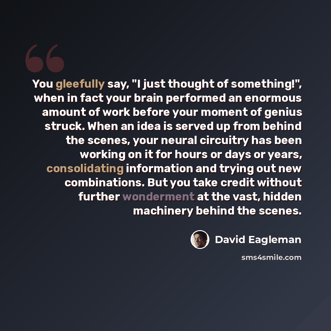 “You gleefully say, "I just thought of something!", when in fact your brain performed an enormous amount of work before your moment of genius struck. When an idea is served up from behind the scenes, your neural circuitry has been working on it for hours or days or years, consolidating information…” quote by David Eagleman