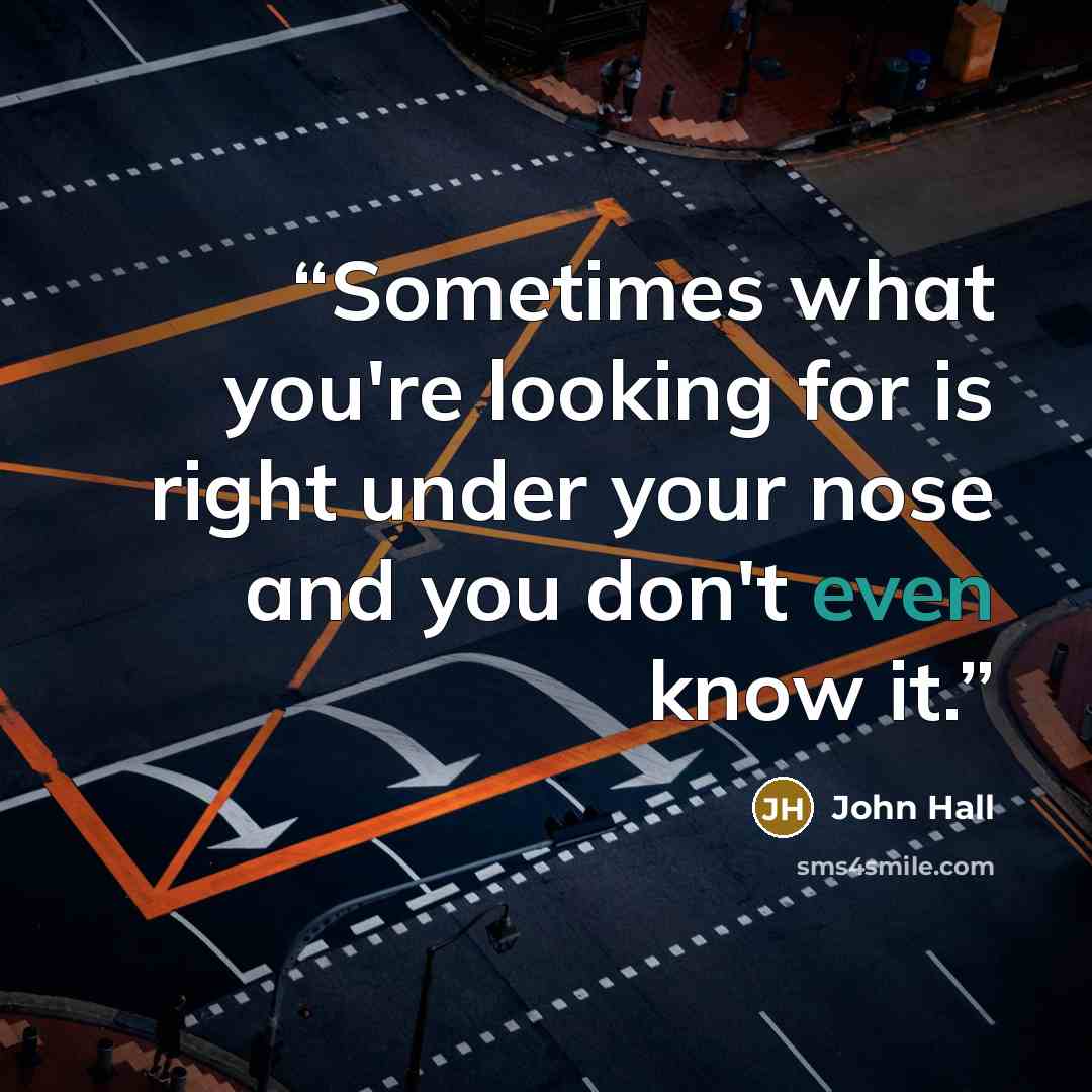“Sometimes what you're looking for is right under your nose and you don't even know it.” quote by John Hall