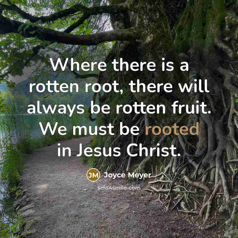 “Where there is a rotten root, there will always be rotten fruit. We must be rooted in Jesus Christ.” quote by Joyce Meyer
