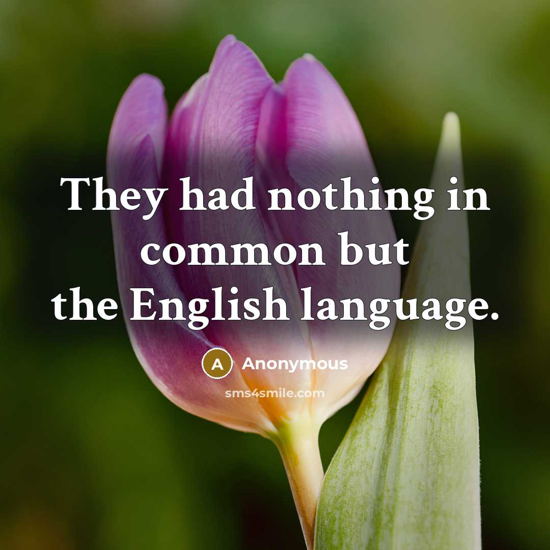 “They had nothing in common but the English language.” quote by Anonymous