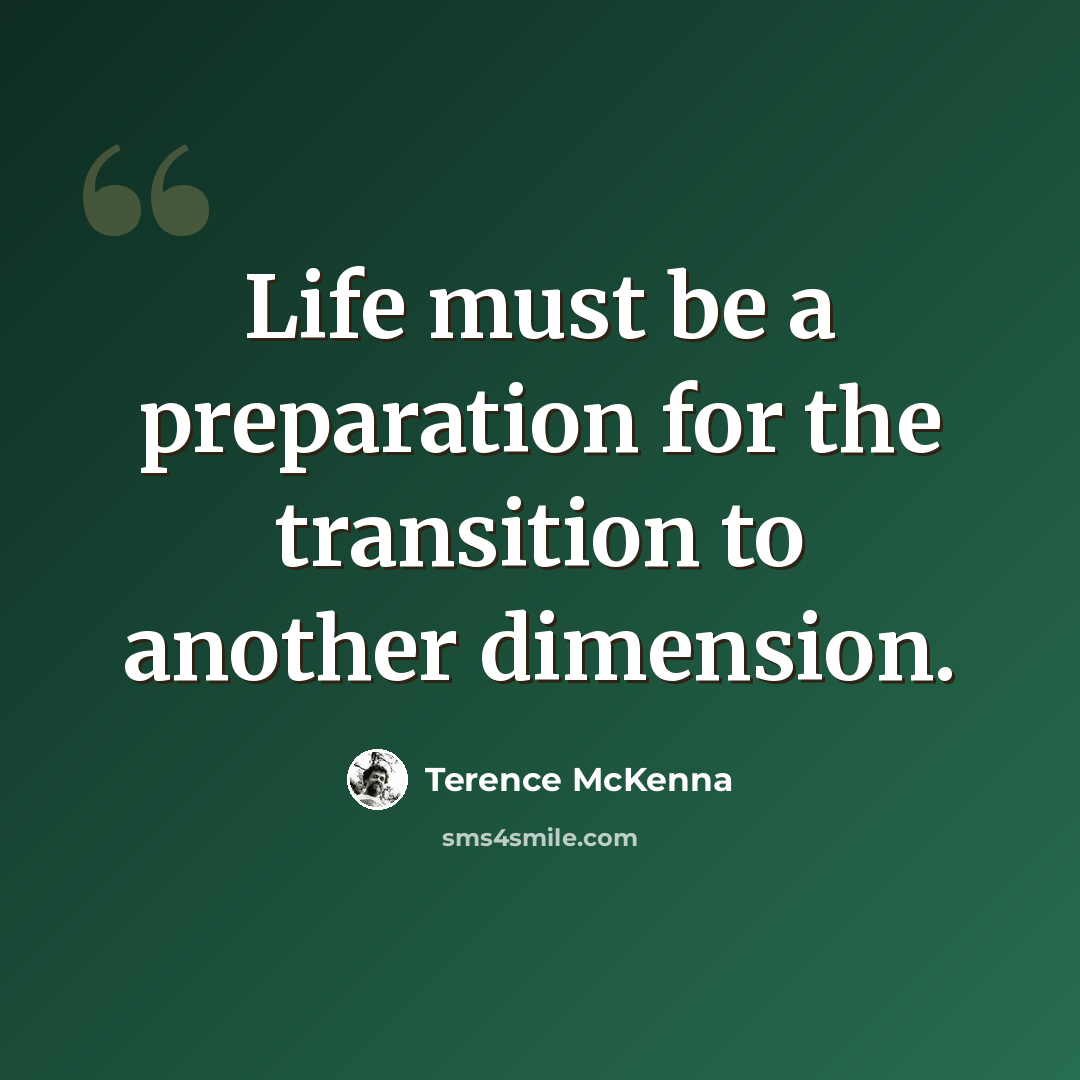 “Life must be a preparation for the transition to another dimension.” quote by Terence McKenna