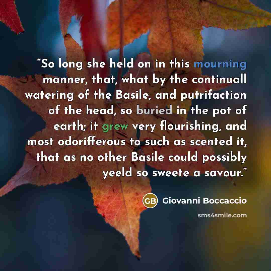 “So long she held on in this mourning manner, that, what by the continuall watering of the Basile, and putrifaction of the head, so buried in the pot of earth; it grew very flourishing, and most odorifferous to such as scented it, that as no other Basile could possibly yeeld so sweete a savour.” quote by Giovanni Boccaccio