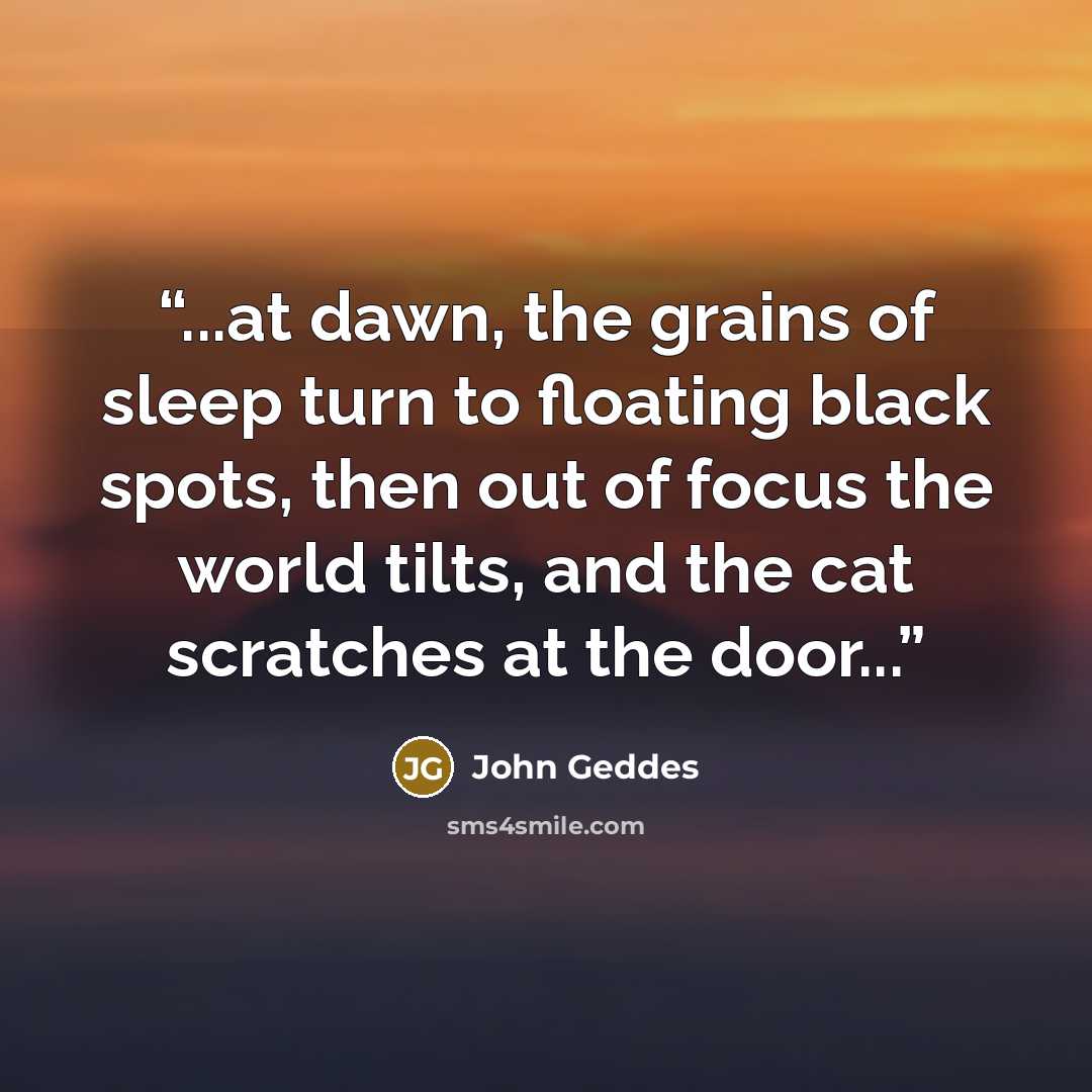 “...at dawn, the grains of sleep turn to floating black spots, then out of focus the world tilts, and the cat scratches at the door...” quote by John Geddes