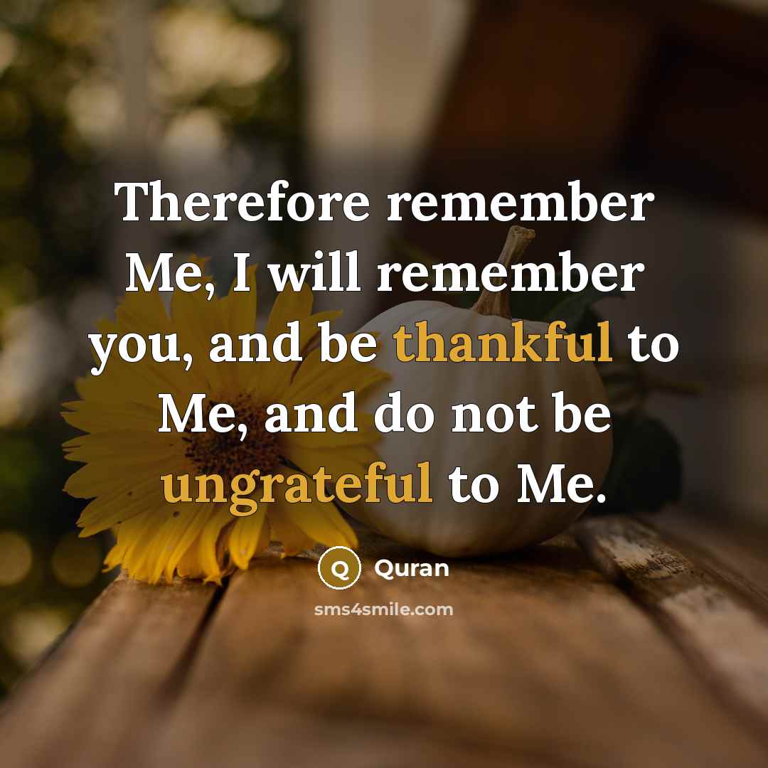 “Therefore remember Me, I will remember you, and be thankful to Me, and do not be ungrateful to Me.” quote by Quran
