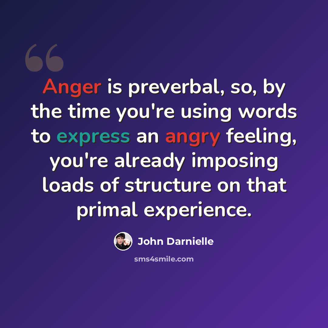 “Anger is preverbal, so, by the time you're using words to express an angry feeling, you're already imposing loads of structure on that primal experience.” quote by John Darnielle