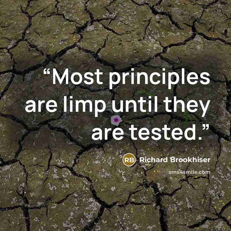 “Most principles are limp until they are tested.” quote by Richard Brookhiser