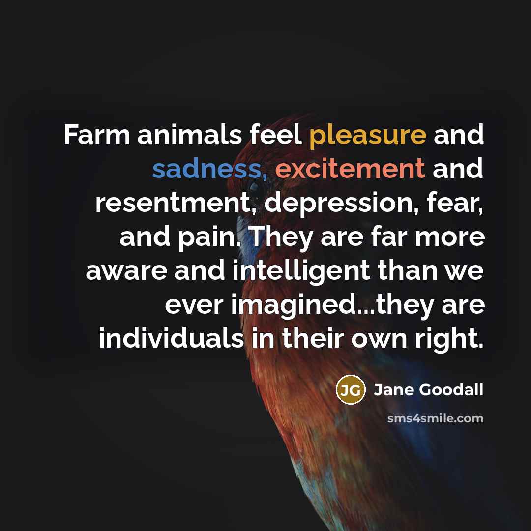 “Farm animals feel pleasure and sadness, excitement and resentment, depression, fear, and pain. They are far more aware and intelligent than we ever imagined...they are individuals in their own right.” quote by Jane Goodall