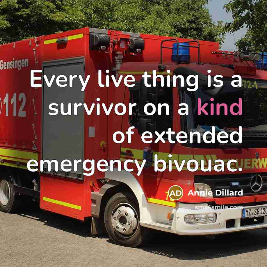 “Every live thing is a survivor on a kind of extended emergency bivouac.” quote by Annie Dillard