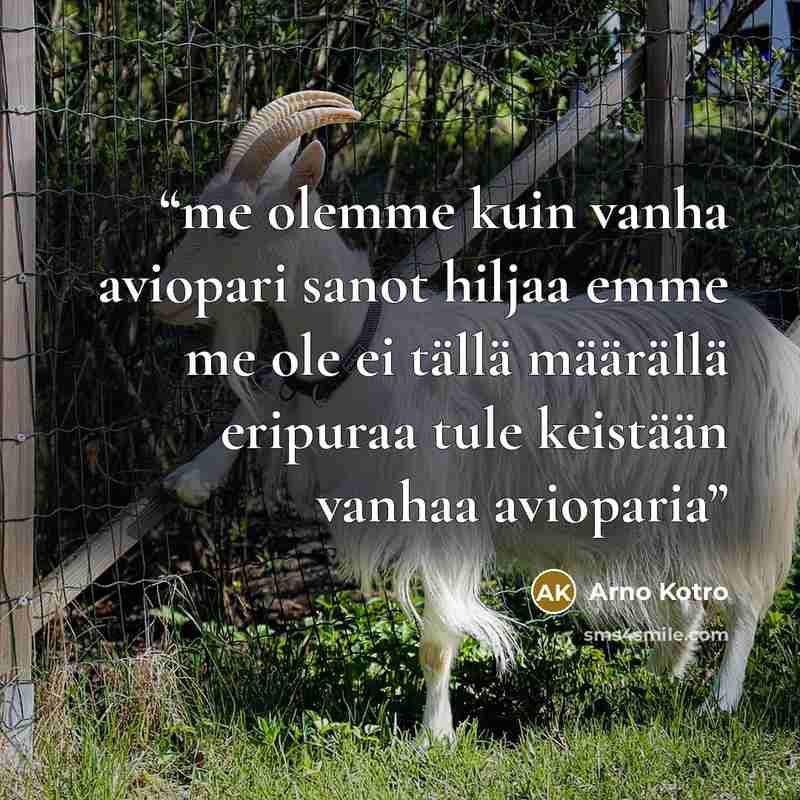 “me olemme kuin vanha aviopari sanot hiljaa emme me ole ei tällä määrällä eripuraa tule keistään vanhaa avioparia” quote by Arno Kotro