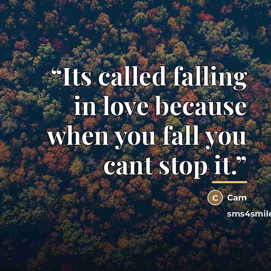 “Its called falling in love because when you fall you cant stop it.” quote by Cam