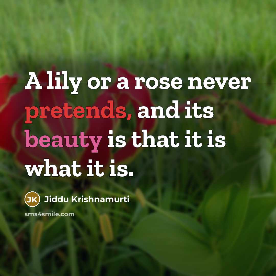 “A lily or a rose never pretends, and its beauty is that it is what it is.” quote by Jiddu Krishnamurti