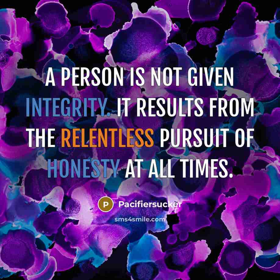 “A Person Is Not Given Integrity. It Results From The Relentless Pursuit Of Honesty At All Times.” quote by Pacifiersucker
