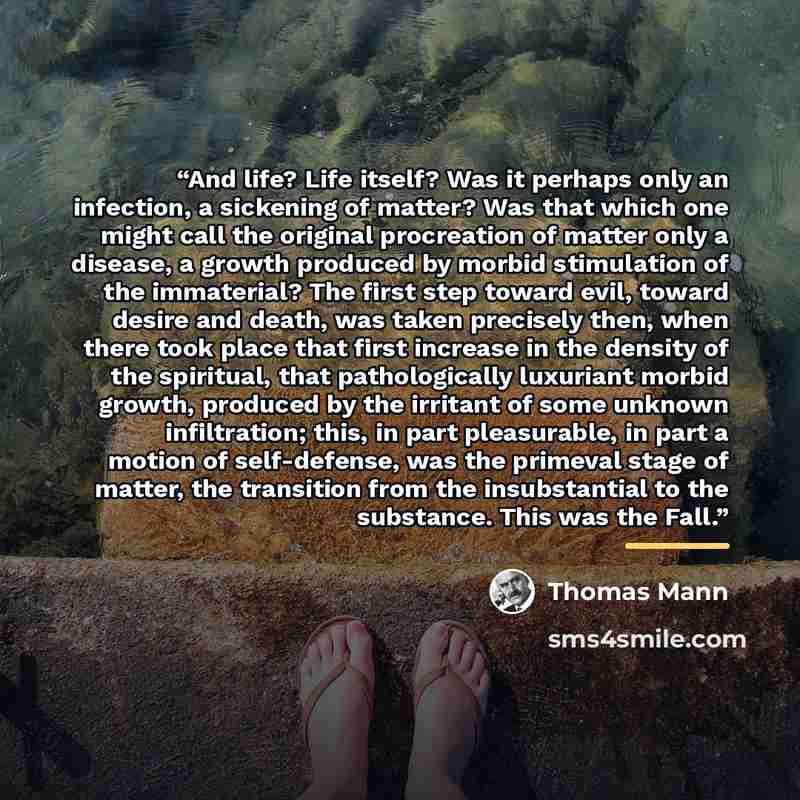 “And life? Life itself? Was it perhaps only an infection, a sickening of matter? Was that which one might call the original procreation of matter only a disease, a growth produced by morbid stimulation of the immaterial? The first step toward evil, toward desire and death, was taken precisely then…” quote by Thomas Mann