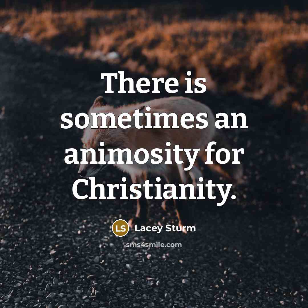 “There is sometimes an animosity for Christianity.” quote by Lacey Sturm