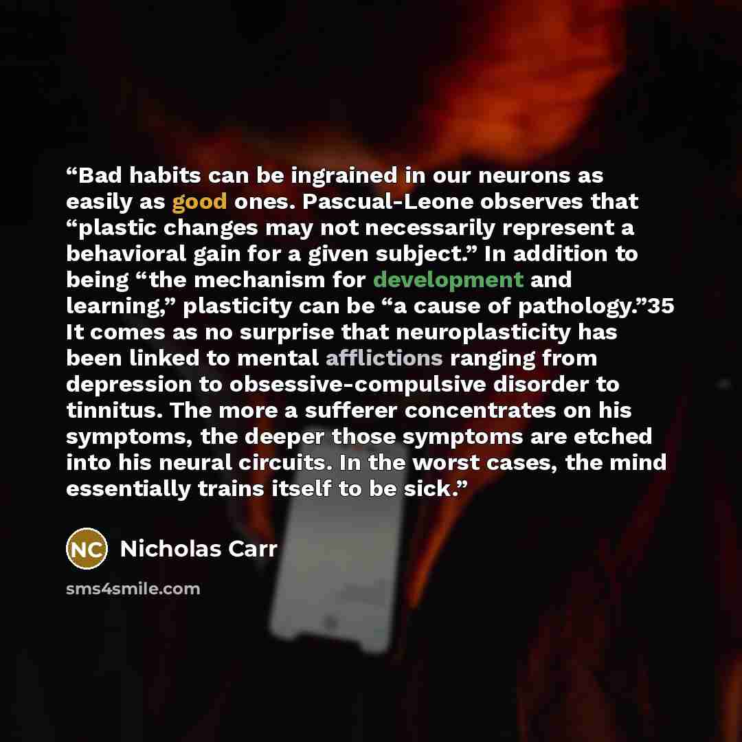 “Bad habits can be ingrained in our neurons as easily as good ones. Pascual-Leone observes that “plastic changes may not necessarily represent a behavioral gain for a given subject.” In addition to being “the mechanism for development and learning,” plasticity can be “a cause of pathology.”35 It…” quote by Nicholas Carr