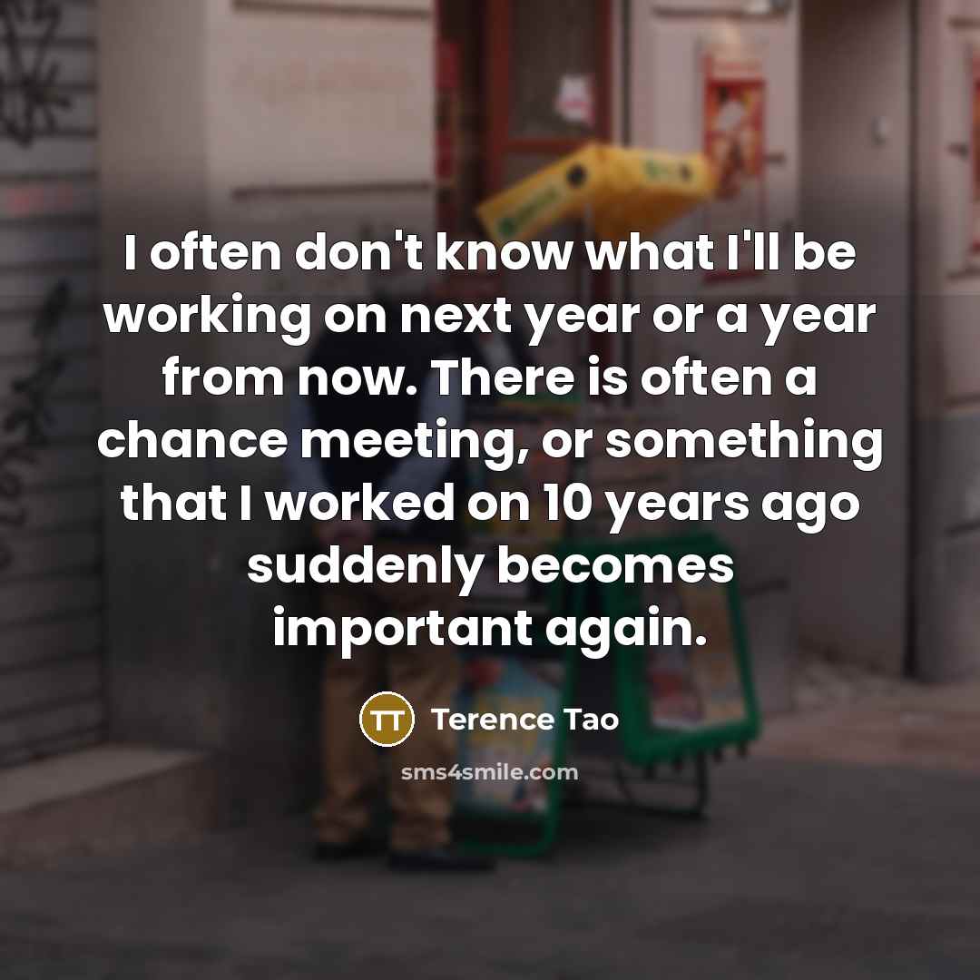 “I often don't know what I'll be working on next year or a year from now. There is often a chance meeting, or something that I worked on 10 years ago suddenly becomes important again.” quote by Terence Tao