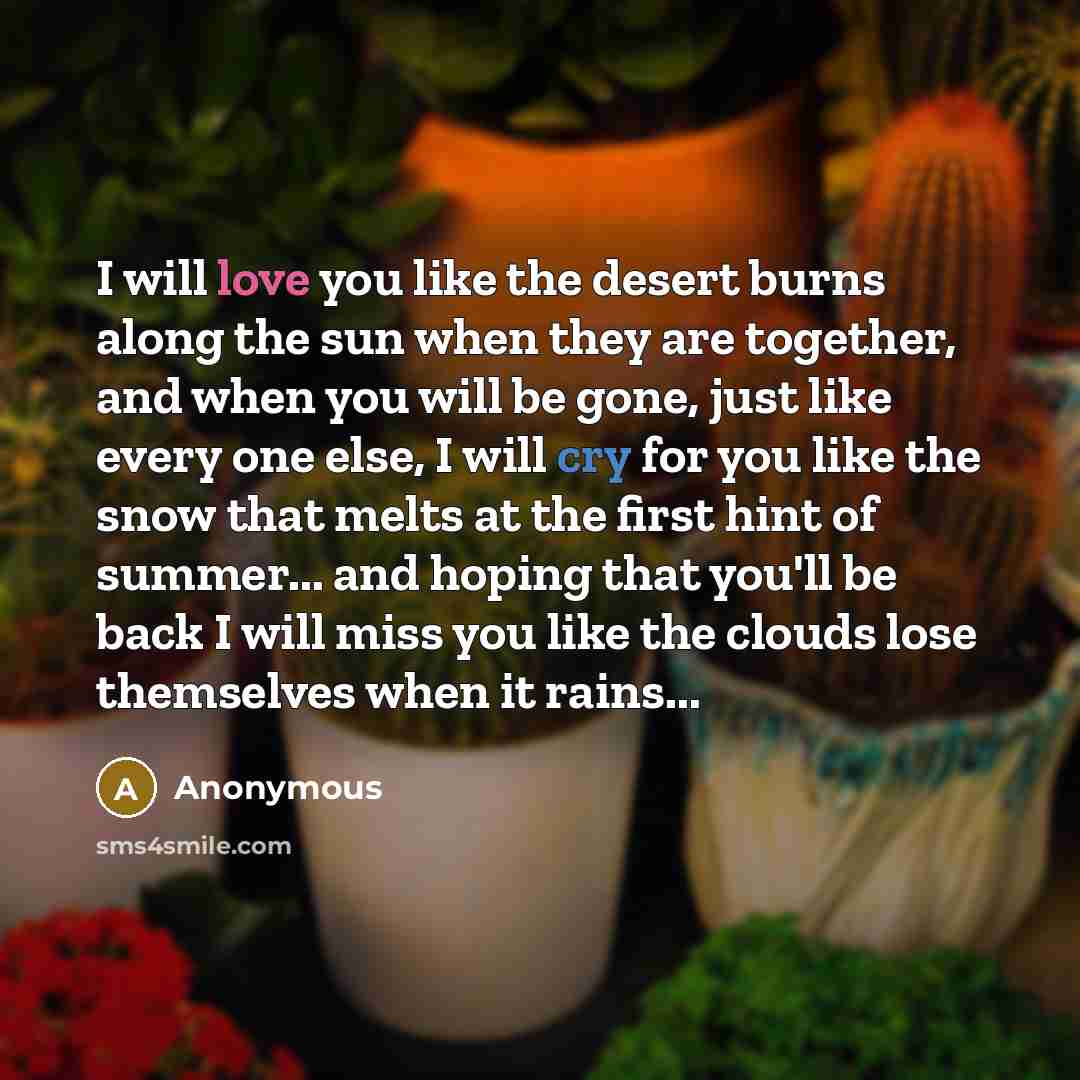 “I will love you like the desert burns along the sun when they are together, and when you will be gone, just like every one else, I will cry for you like the snow that melts at the first hint of summer... and hoping that you'll be back I will miss you like the clouds lose themselves when it rains...” quote by Anonymous