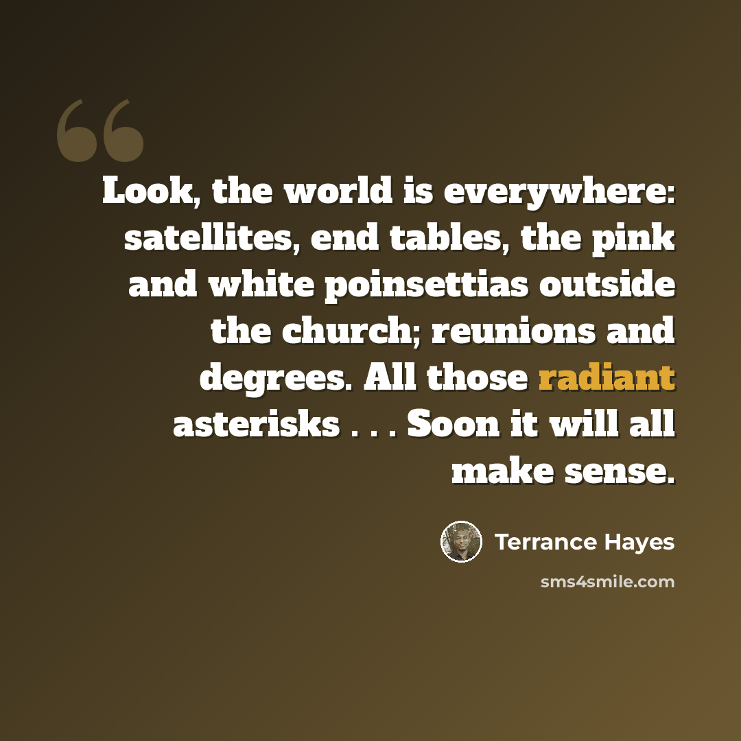 “Look, the world is everywhere: satellites, end tables, the pink and white poinsettias outside the church; reunions and degrees. All those radiant asterisks . . . Soon it will all make sense.” quote by Terrance Hayes
