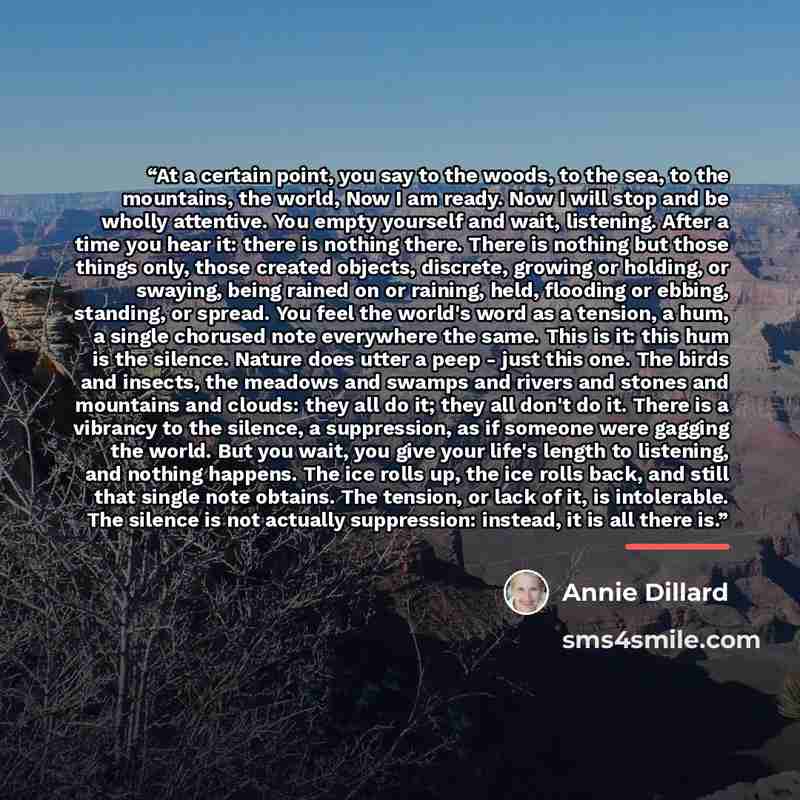 “At a certain point, you say to the woods, to the sea, to the mountains, the world, Now I am ready. Now I will stop and be wholly attentive. You empty yourself and wait, listening. After a time you hear it: there is nothing there. There is nothing but those things only, those created objects…” quote by Annie Dillard