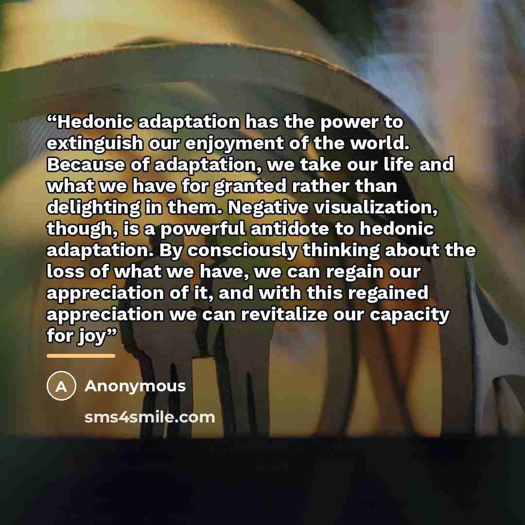 “Hedonic adaptation has the power to extinguish our enjoyment of the world. Because of adaptation, we take our life and what we have for granted rather than delighting in them. Negative visualization, though, is a powerful antidote to hedonic adaptation. By consciously thinking about the loss of…” quote by Anonymous