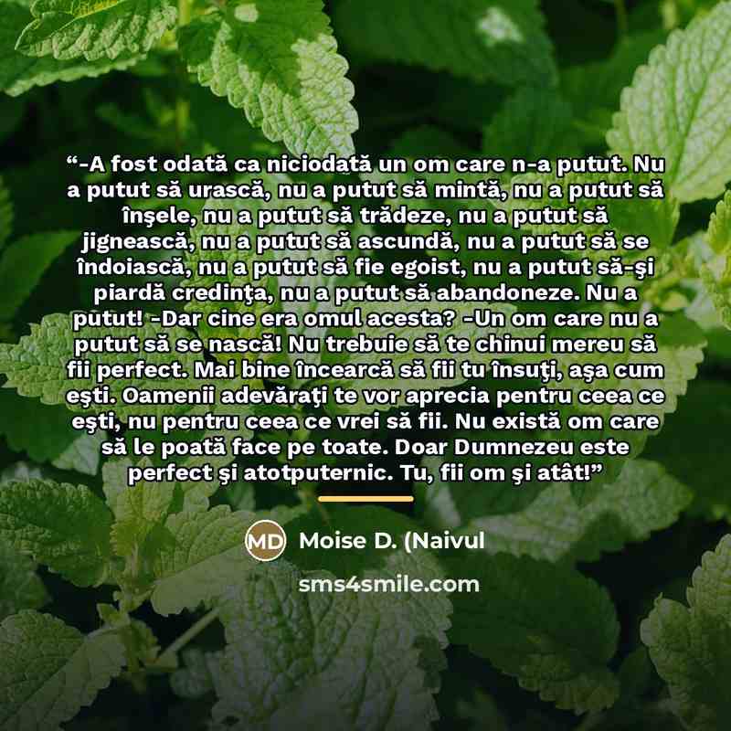 “-A fost odată ca niciodată un om care n-a putut. Nu a putut să urască, nu a putut să mintă, nu a putut să înşele, nu a putut să trădeze, nu a putut să jignească, nu a putut să ascundă, nu a putut să se îndoiască, nu a putut să fie egoist, nu a putut să-şi piardă credinţa, nu a putut să abandoneze…” quote by Moise D. (Naivul