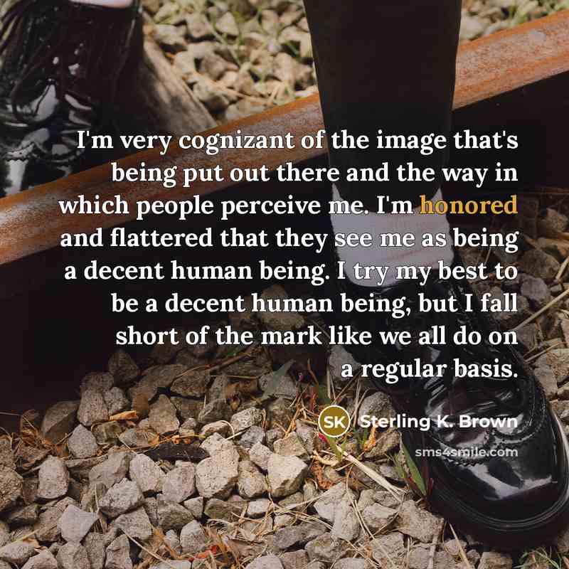“I'm very cognizant of the image that's being put out there and the way in which people perceive me. I'm honored and flattered that they see me as being a decent human being. I try my best to be a decent human being, but I fall short of the mark like we all do on a regular basis.” quote by Sterling K. Brown