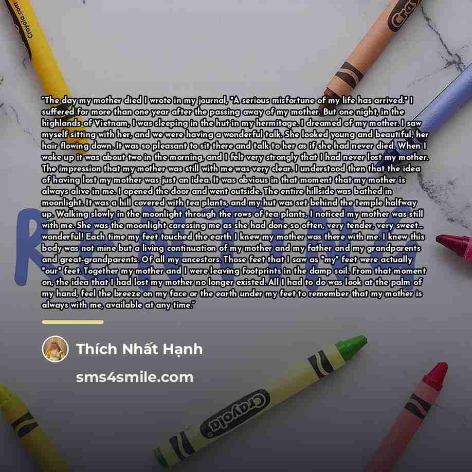 “The day my mother died I wrote in my journal, "A serious misfortune of my life has arrived." I suffered for more than one year after the passing away of my mother. But one night, in the highlands of Vietnam, I was sleeping in the hut in my hermitage. I dreamed of my mother. I saw myself sitting…” quote by Thích Nhất Hạnh
