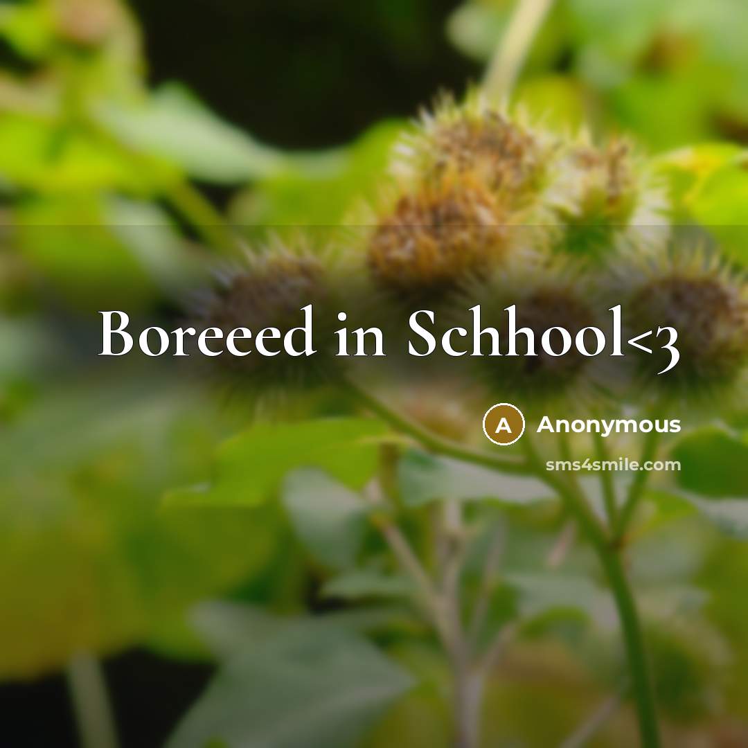 “Boreeed in Schhool” quote by Anonymous