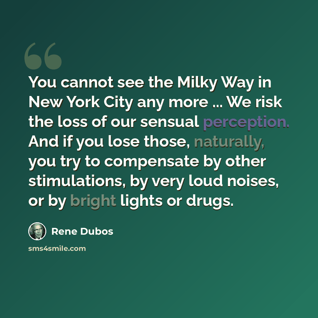 “You cannot see the Milky Way in New York City any more ... We risk the loss of our sensual perception. And if you lose those, naturally, you try to compensate by other stimulations, by very loud noises, or by bright lights or drugs.” quote by Rene Dubos
