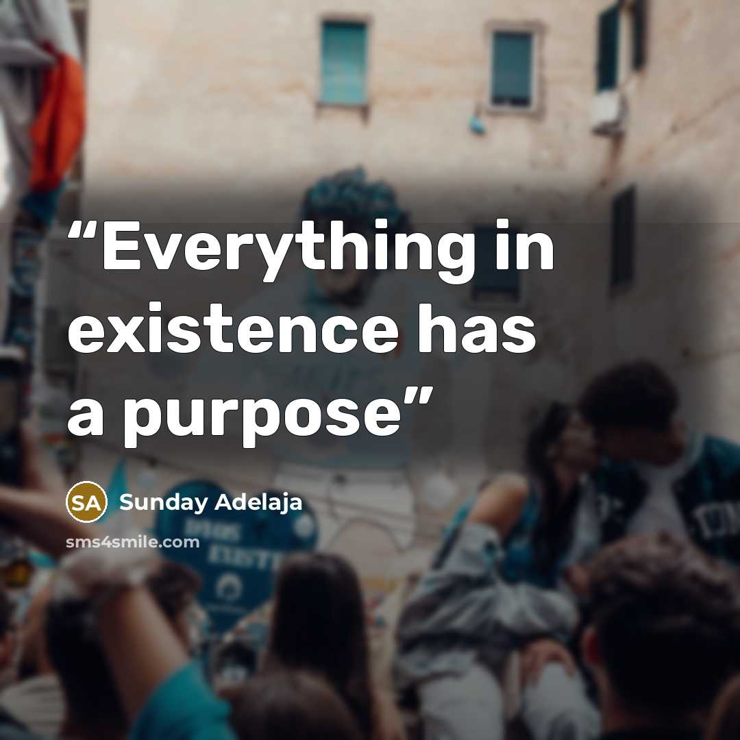 “Everything in existence has a purpose” quote by Sunday Adelaja