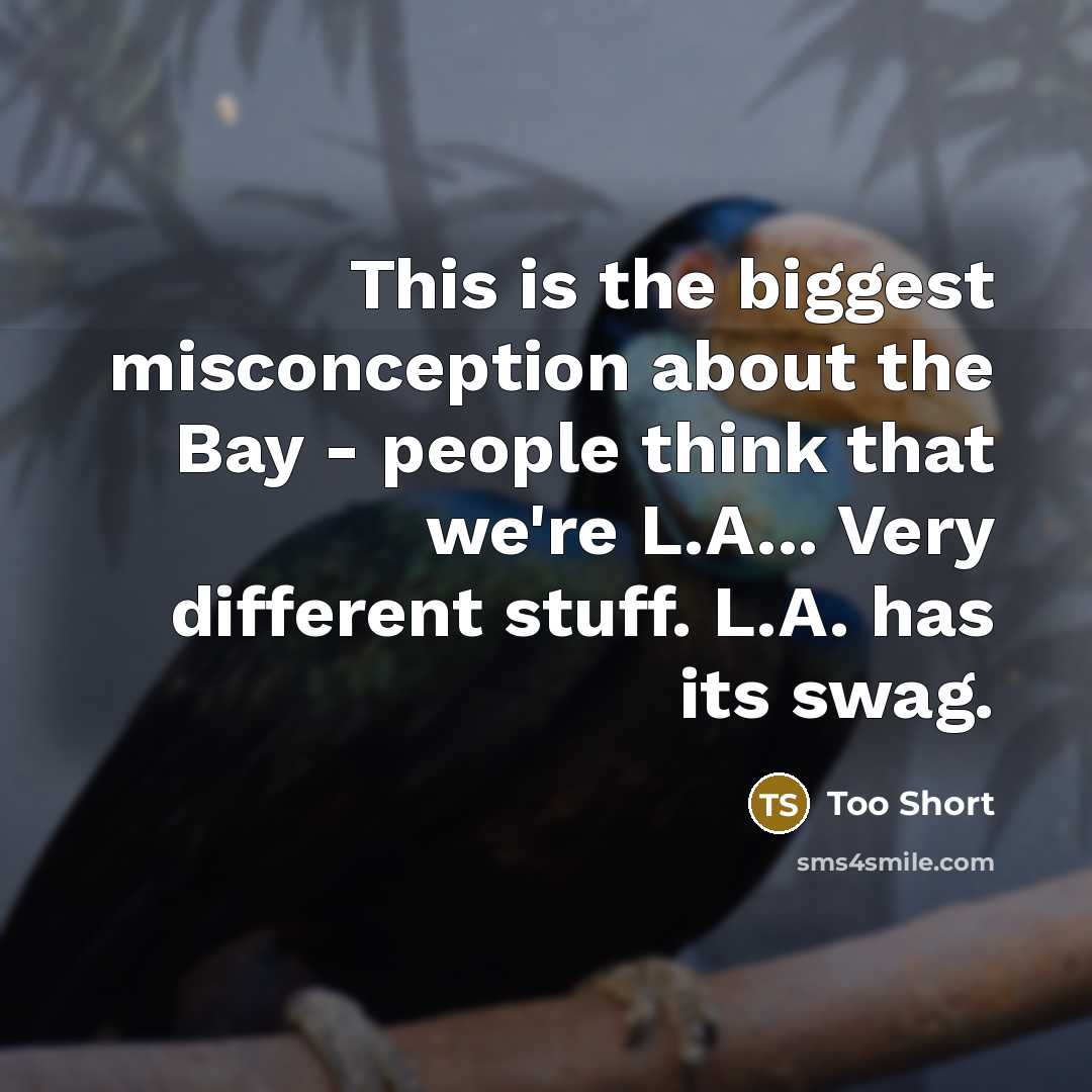 “This is the biggest misconception about the Bay - people think that we're L.A... Very different stuff. L.A. has its swag.” quote by Too Short