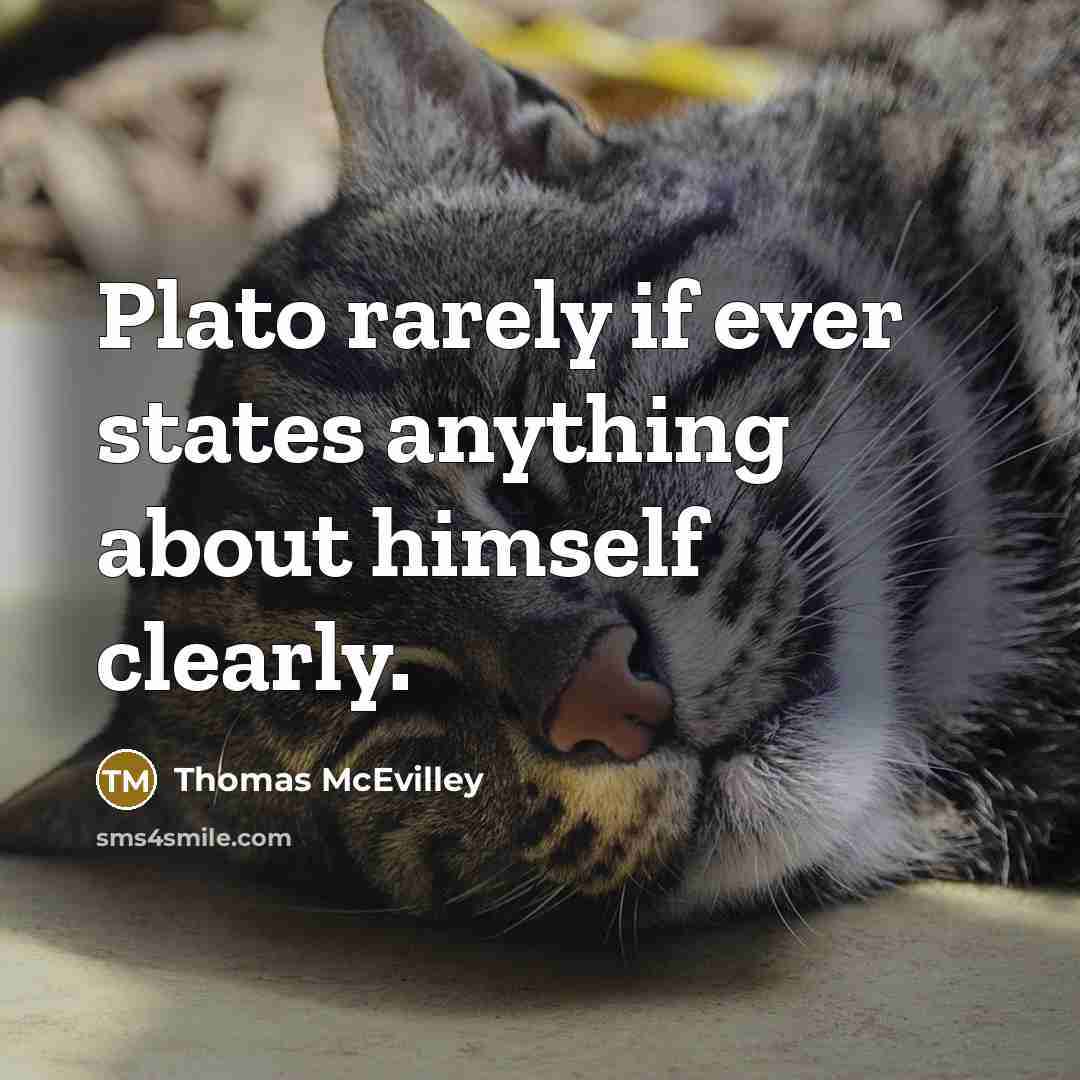 “Plato rarely if ever states anything about himself clearly.” quote by Thomas McEvilley