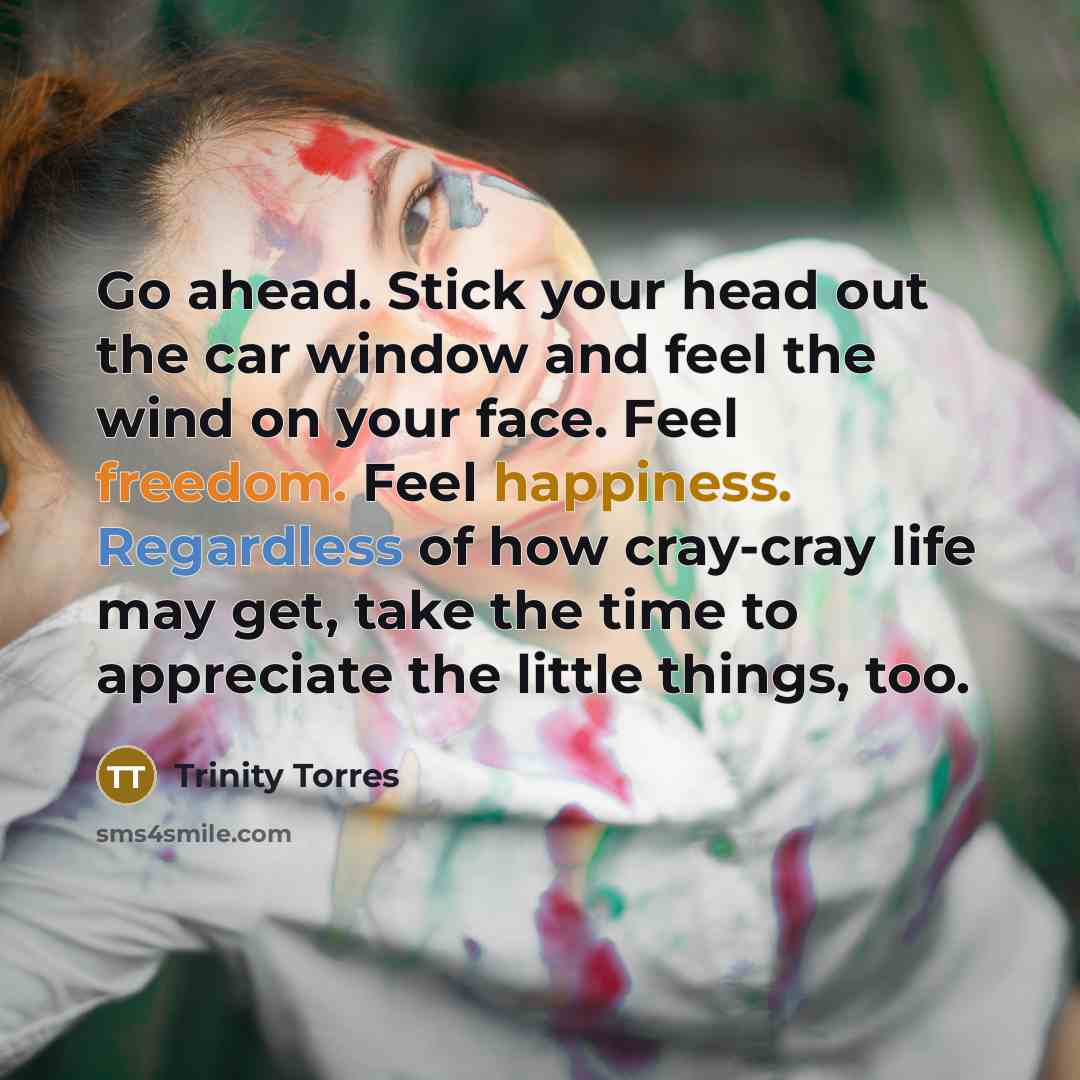 “Go ahead. Stick your head out the car window and feel the wind on your face. Feel freedom. Feel happiness. Regardless of how cray-cray life may get, take the time to appreciate the little things, too.” quote by Trinity Torres