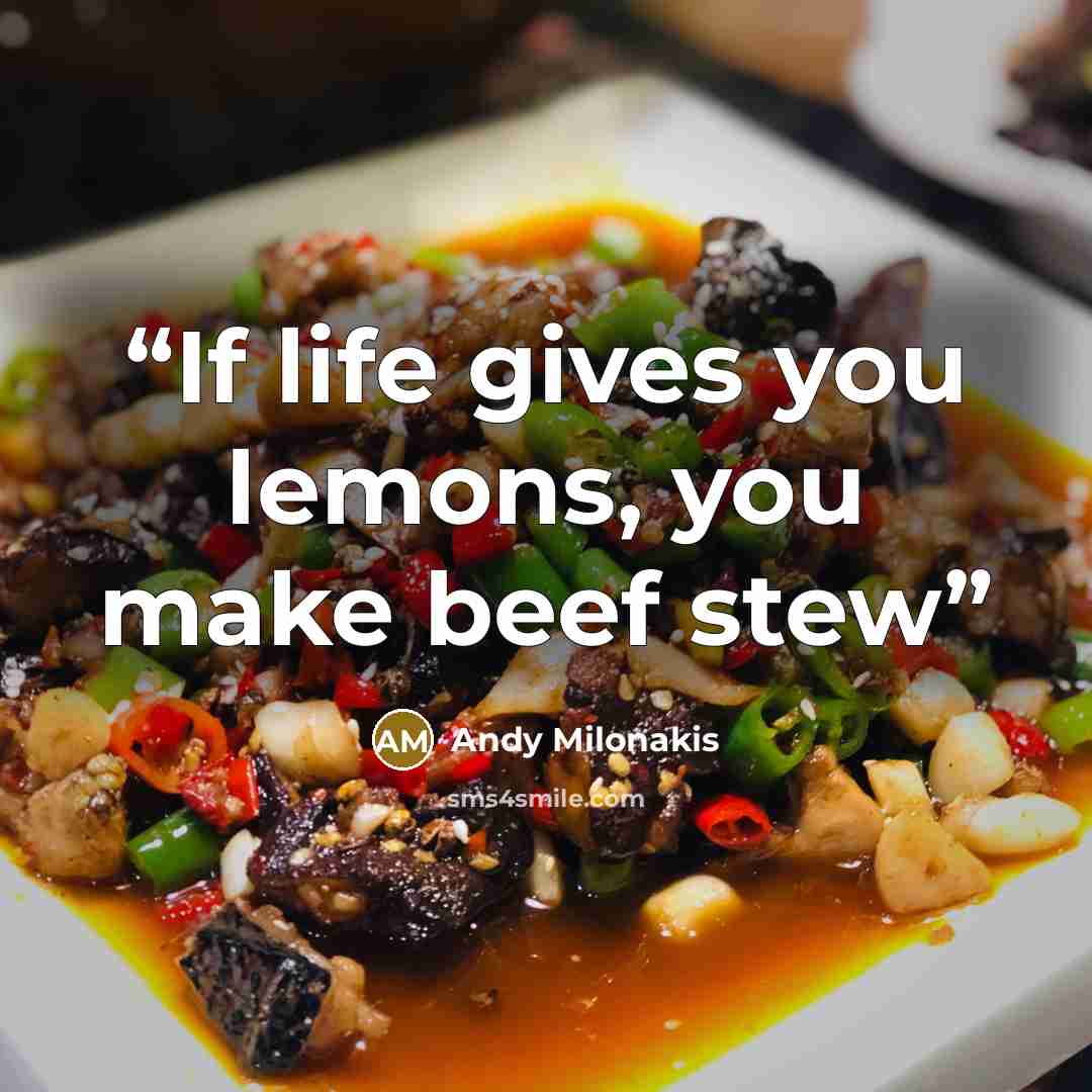 “If life gives you lemons, you make beef stew” quote by Andy Milonakis