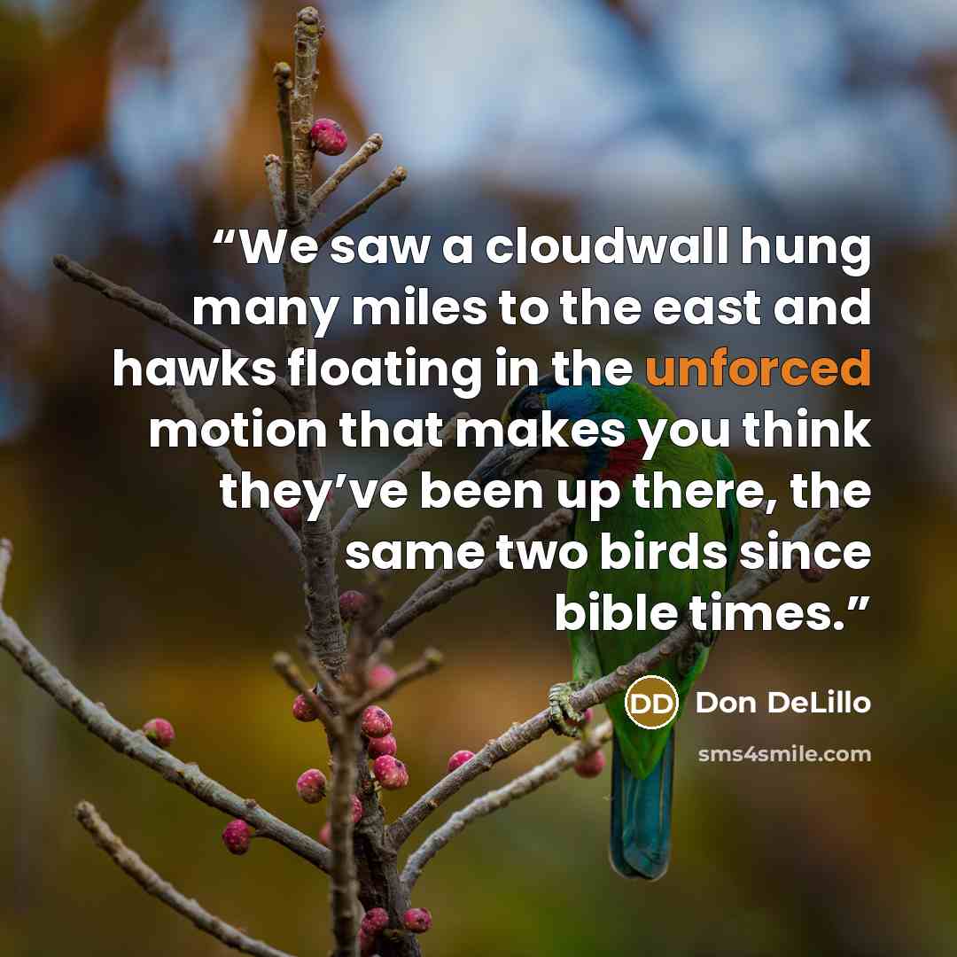 “We saw a cloudwall hung many miles to the east and hawks floating in the unforced motion that makes you think they’ve been up there, the same two birds since bible times.” quote by Don DeLillo