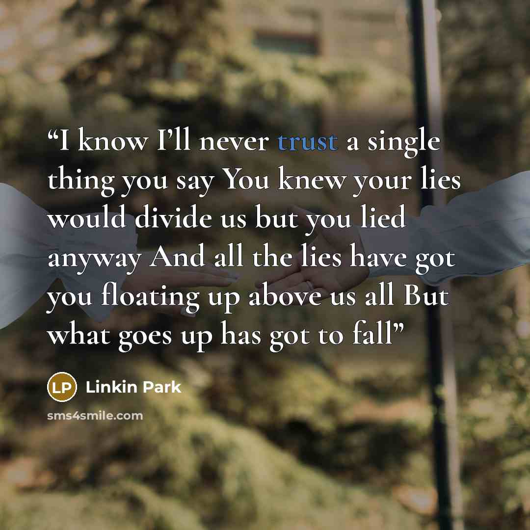 “I know I’ll never trust a single thing you say You knew your lies would divide us but you lied anyway And all the lies have got you floating up above us all But what goes up has got to fall” quote by Linkin Park