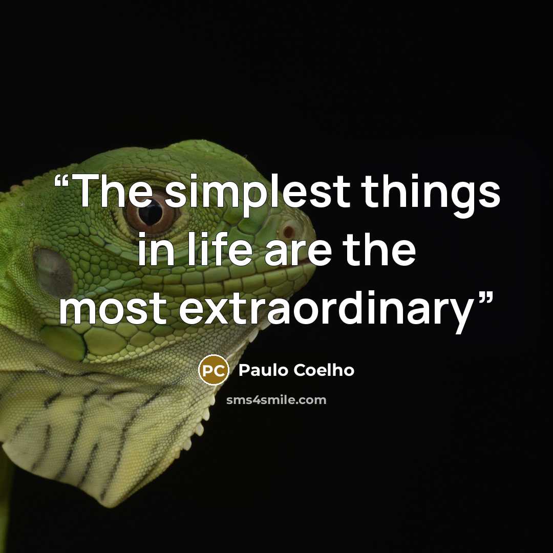“The simplest things in life are the most extraordinary” quote by Paulo Coelho