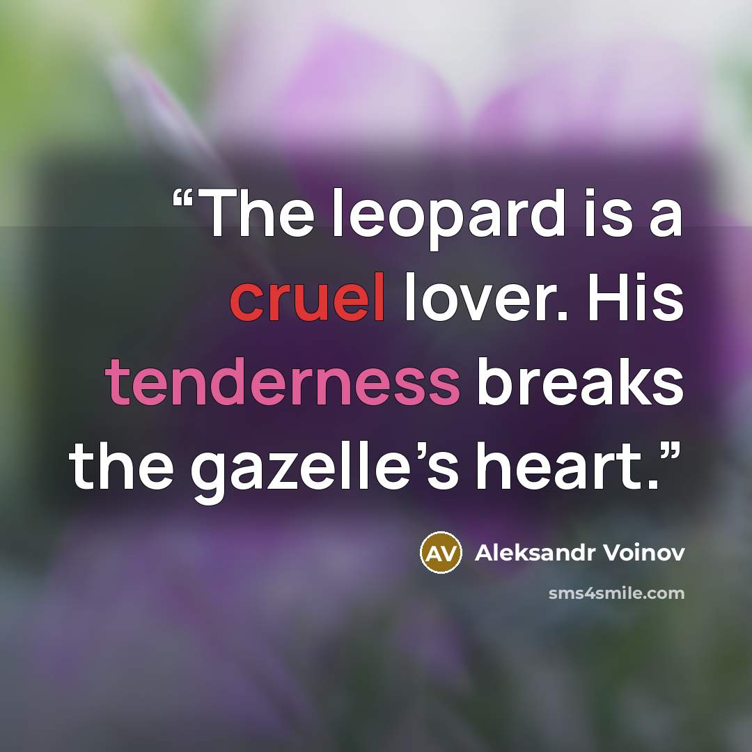 “The leopard is a cruel lover. His tenderness breaks the gazelle’s heart.” quote by Aleksandr Voinov
