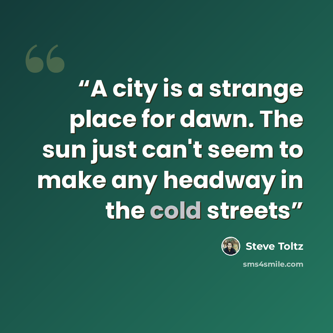 “A city is a strange place for dawn. The sun just can't seem to make any headway in the cold streets” quote by Steve Toltz