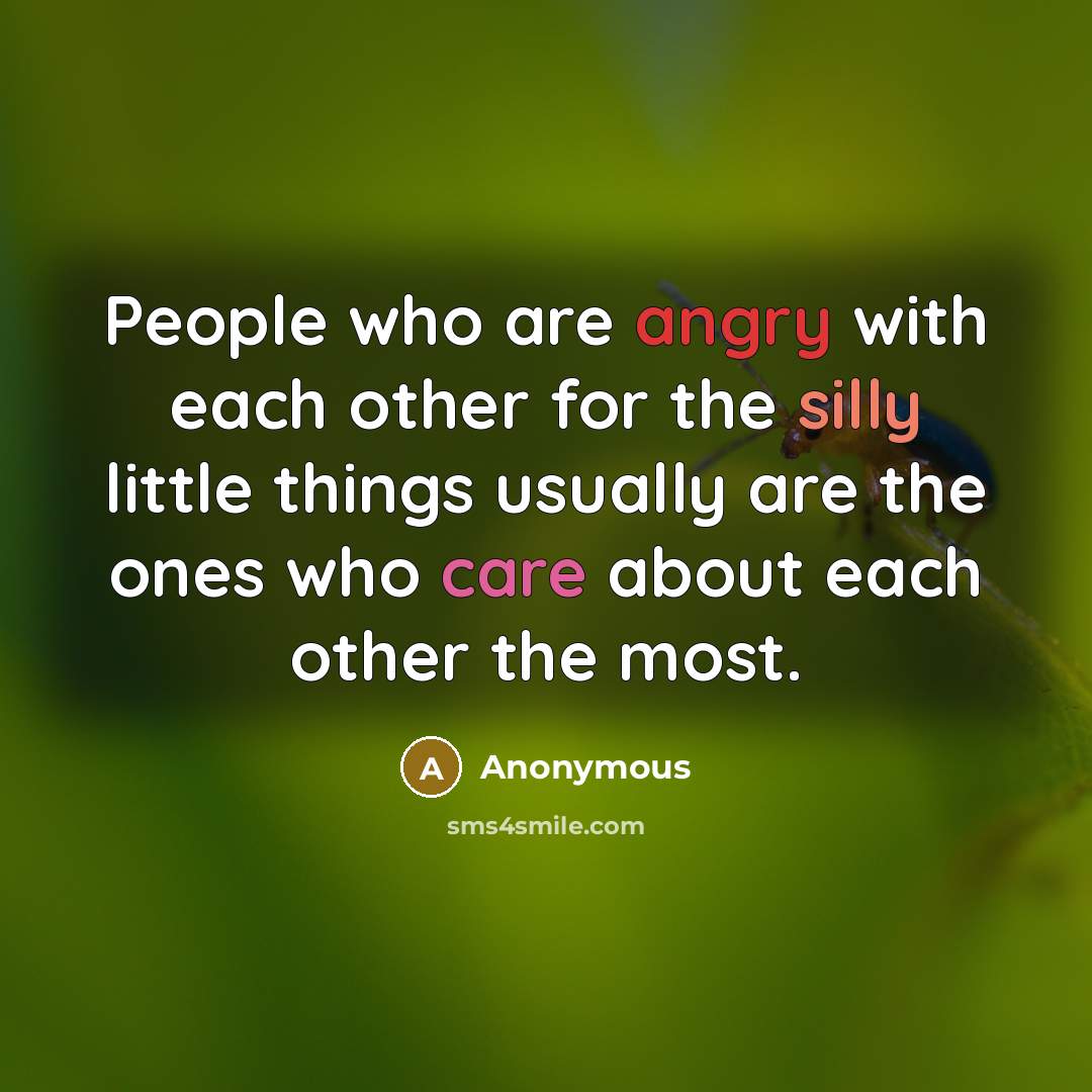 “People who are angry with each other for the silly little things usually are the ones who care about each other the most.” quote by Anonymous